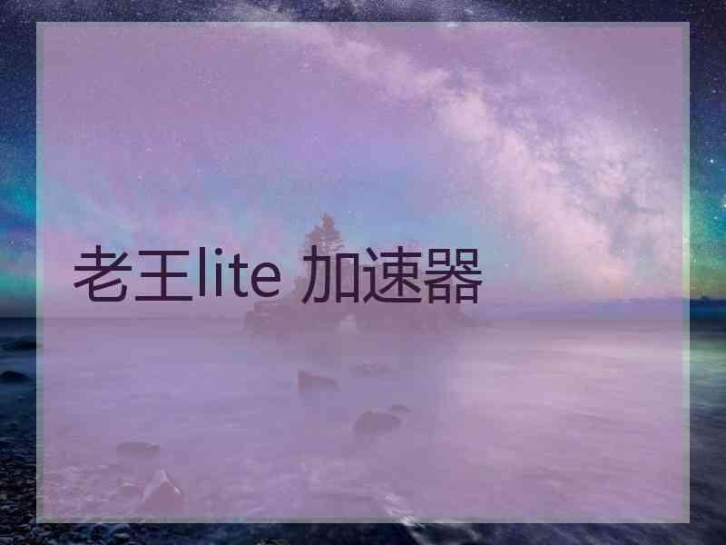 老王lite 加速器