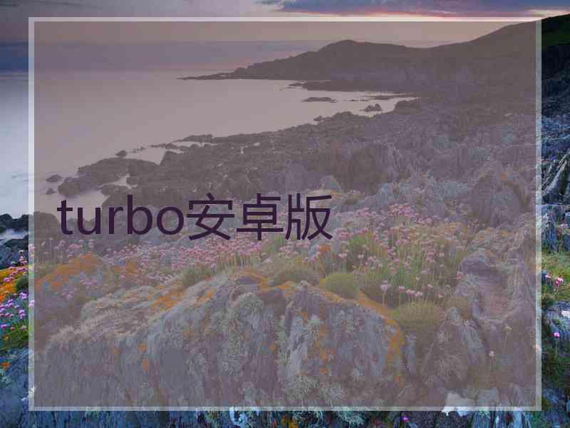 turbo安卓版