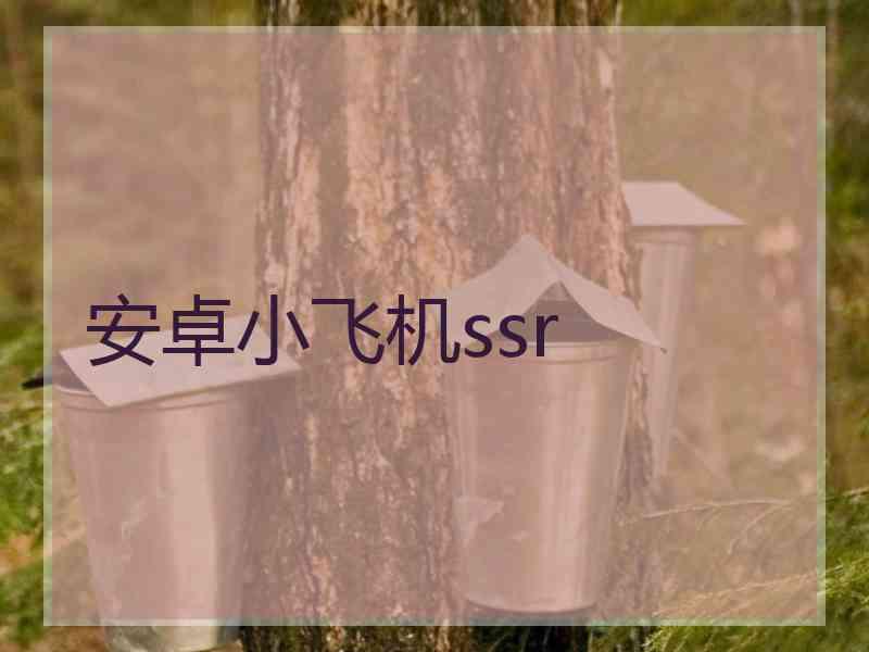 安卓小飞机ssr