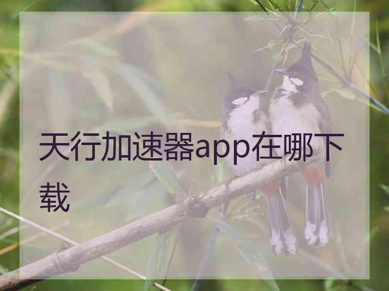 天行加速器app在哪下载