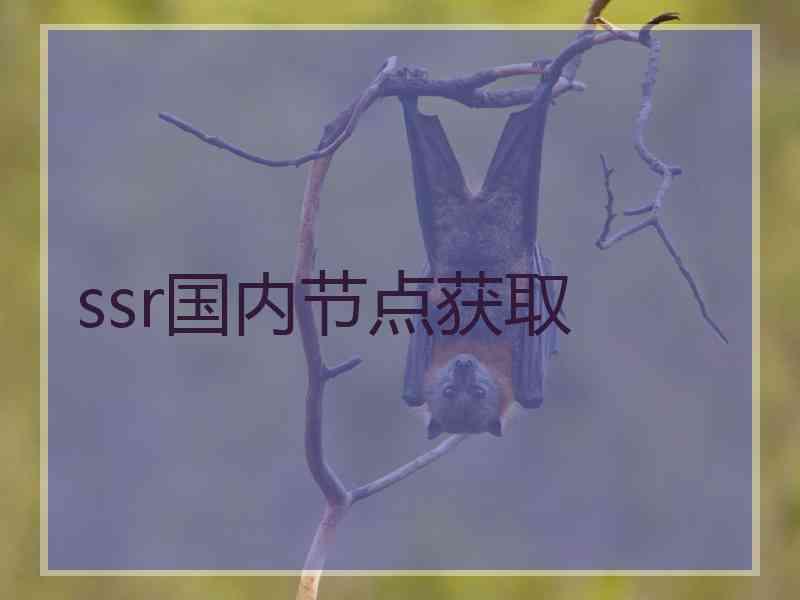 ssr国内节点获取