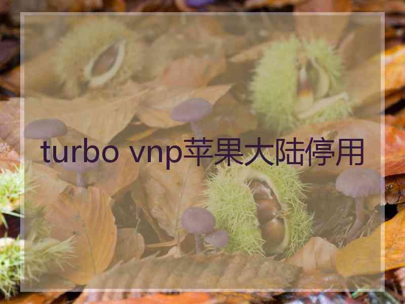 turbo vnp苹果大陆停用