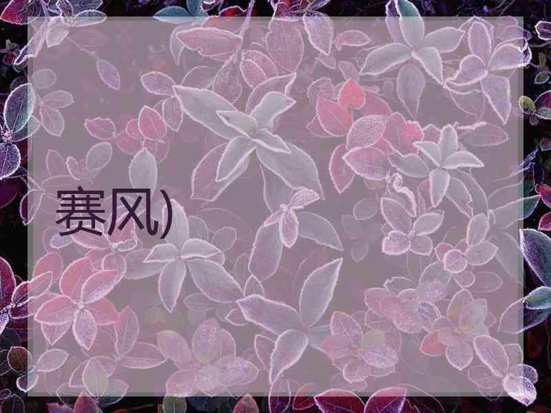 赛风)