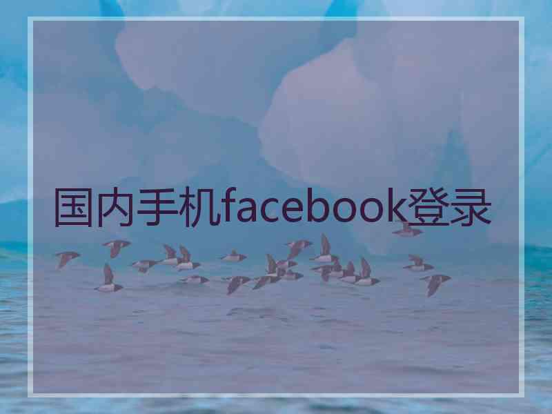 国内手机facebook登录