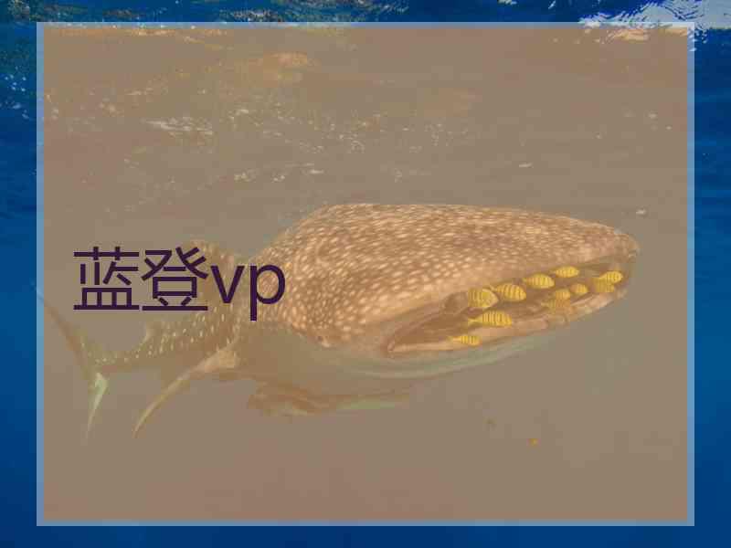 蓝登vp
