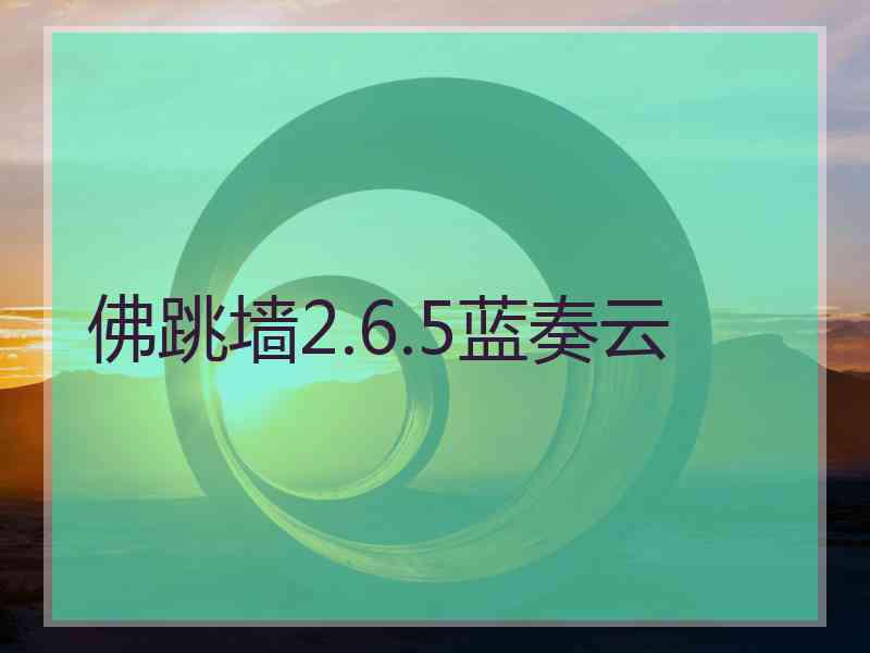 佛跳墙2.6.5蓝奏云