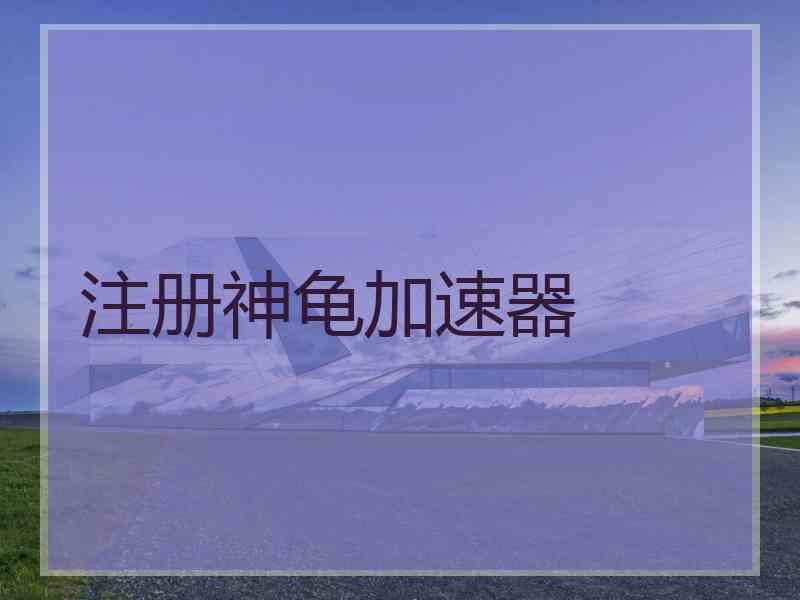 注册神龟加速器