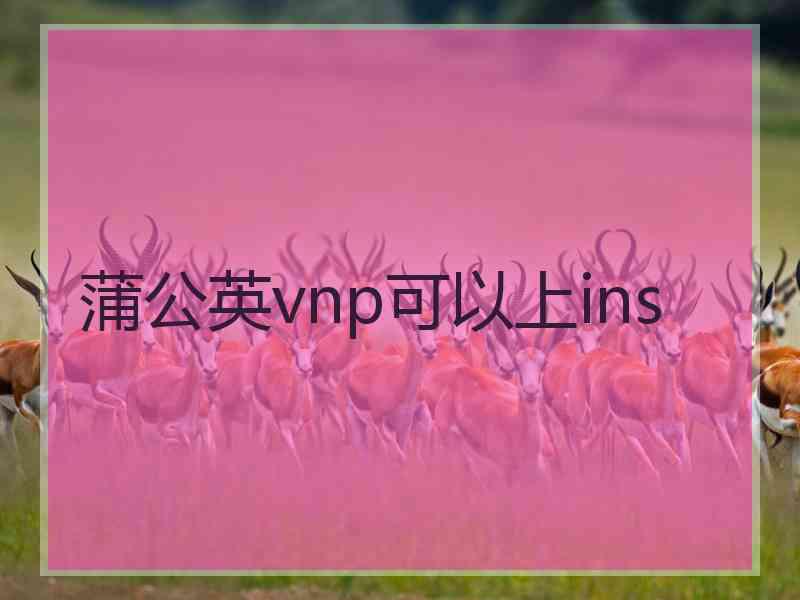 蒲公英vnp可以上ins