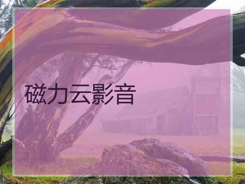 磁力云影音