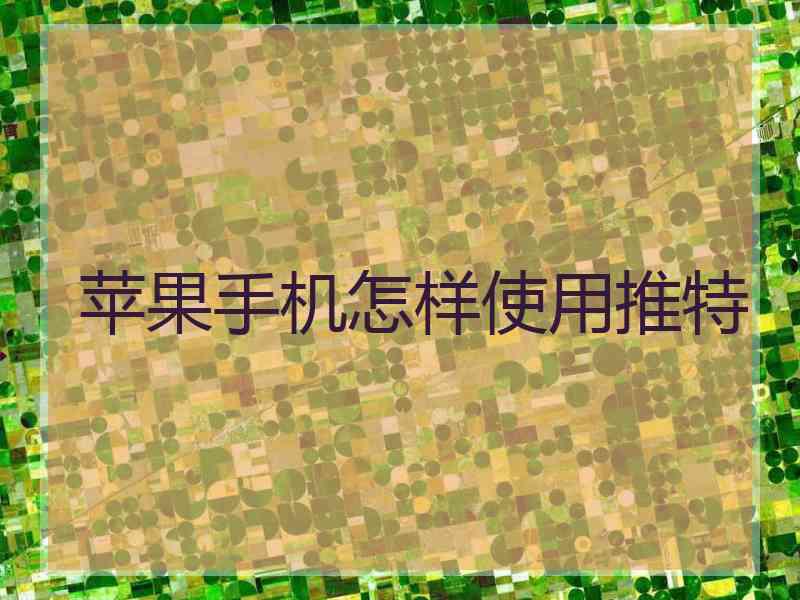 苹果手机怎样使用推特