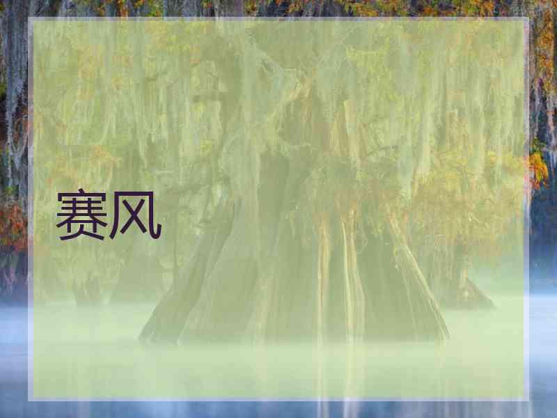 赛风