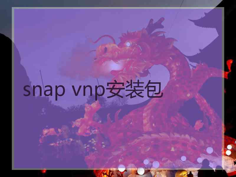 snap vnp安装包