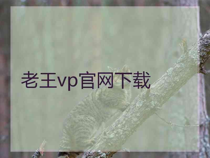 老王vp官网下载