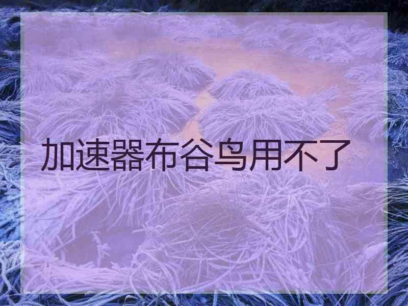 加速器布谷鸟用不了