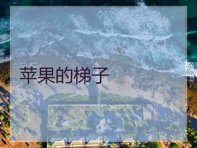 苹果的梯子