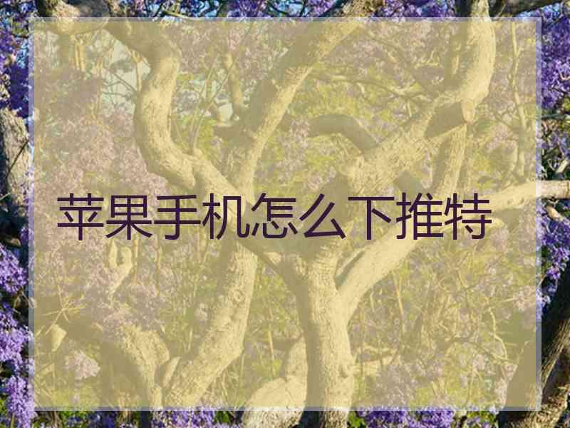 苹果手机怎么下推特
