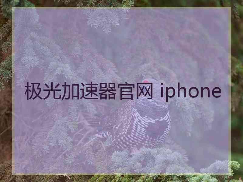 极光加速器官网 iphone