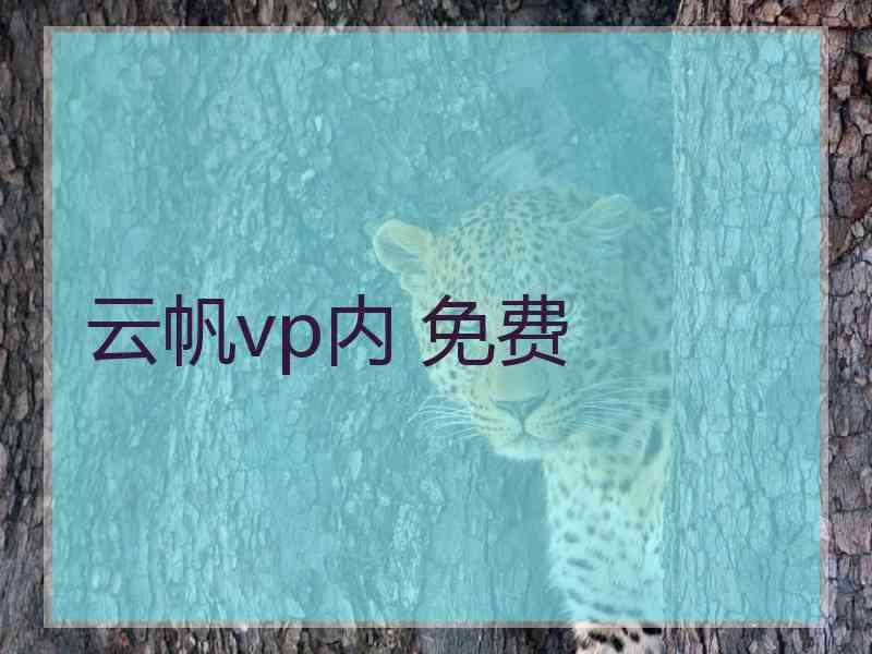 云帆vp内 免费