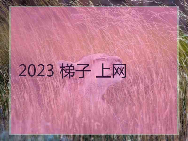 2023 梯子 上网