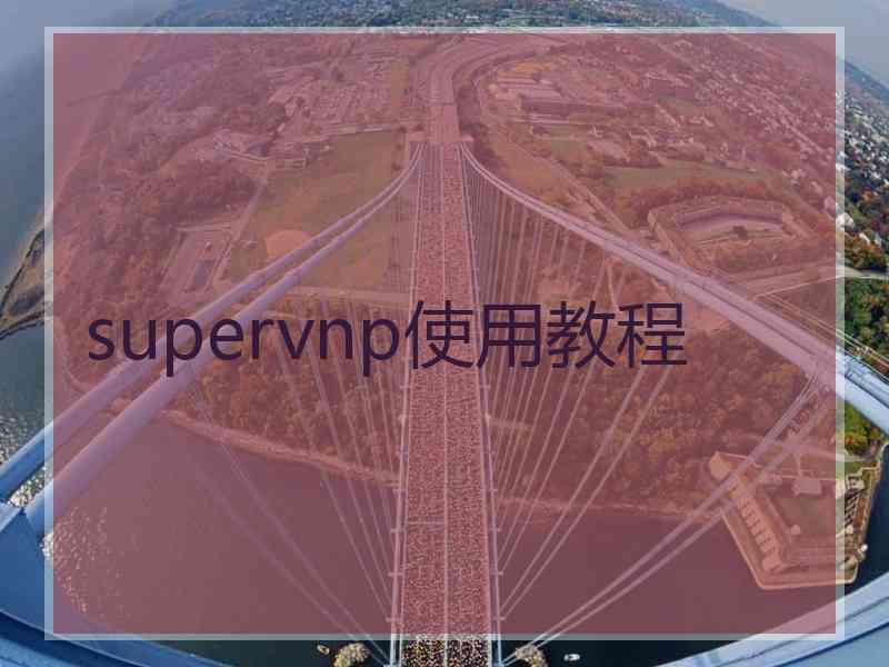 supervnp使用教程
