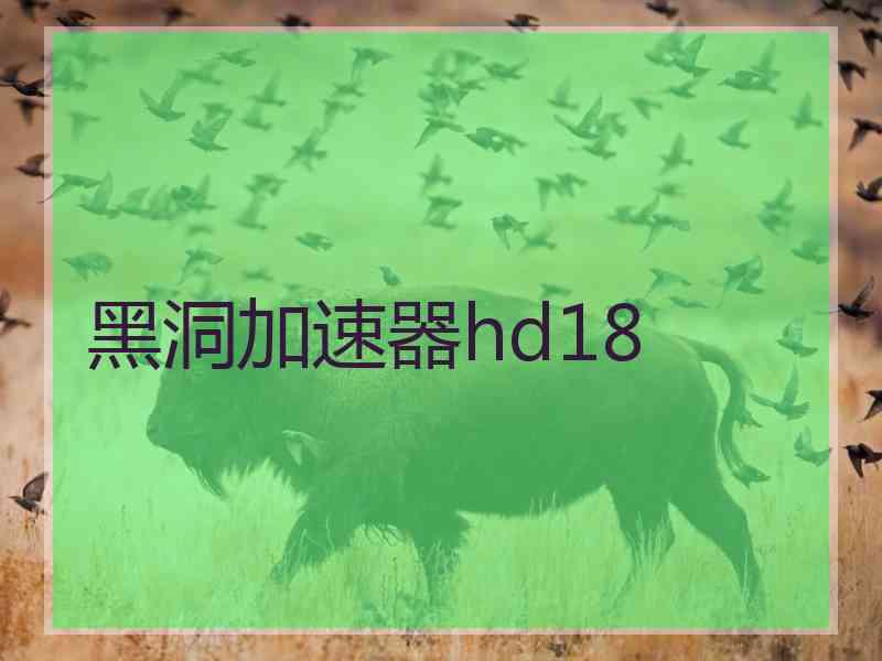 黑洞加速器hd18