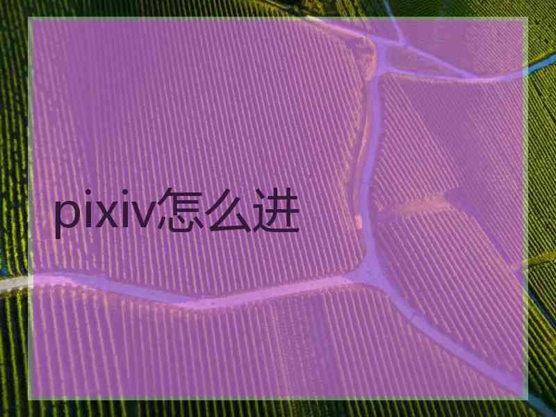 pixiv怎么进
