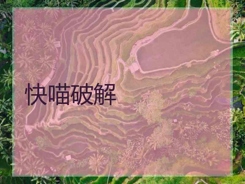 快喵破解