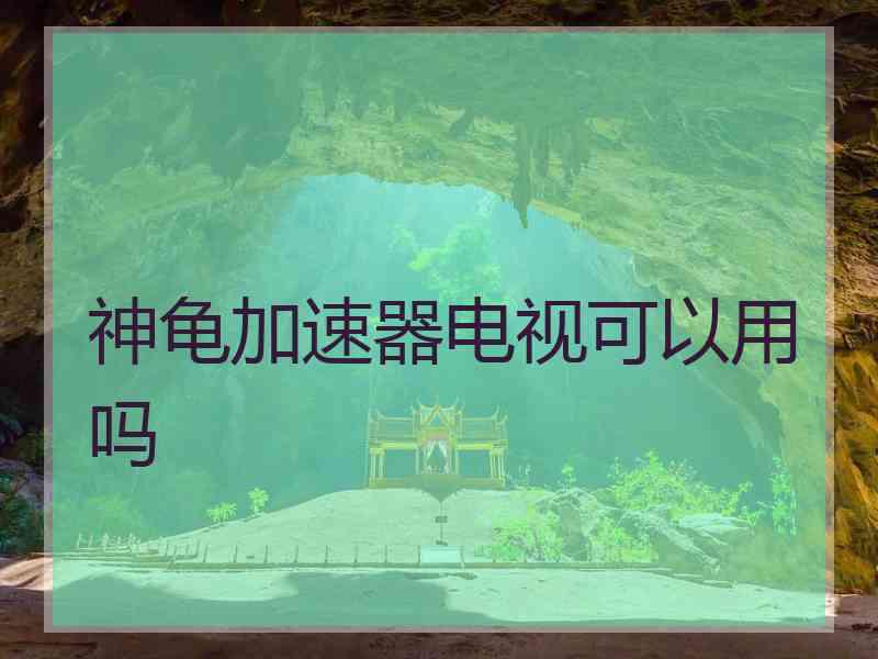 神龟加速器电视可以用吗