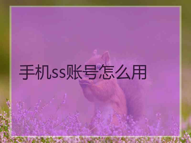 手机ss账号怎么用