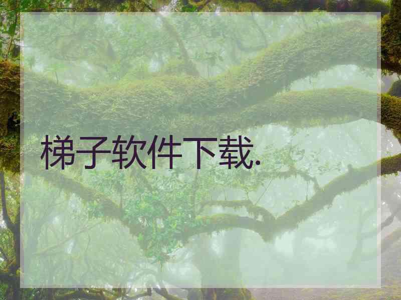 梯子软件下载.