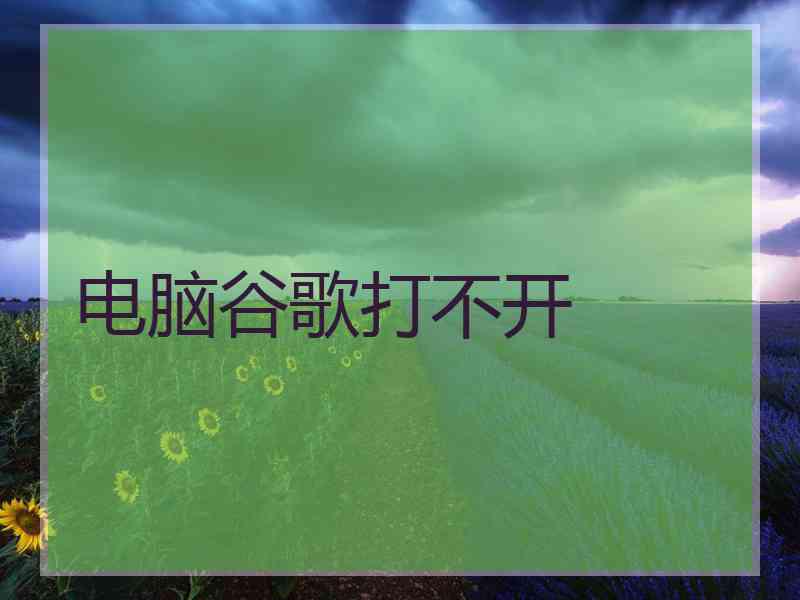电脑谷歌打不开