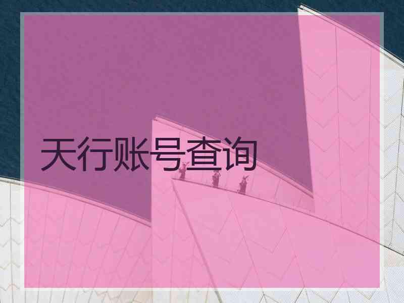 天行账号查询