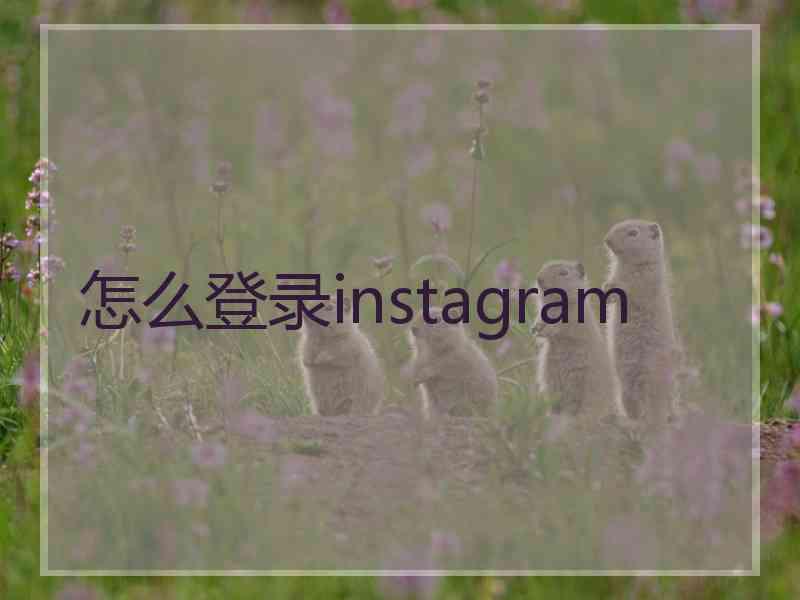怎么登录instagram