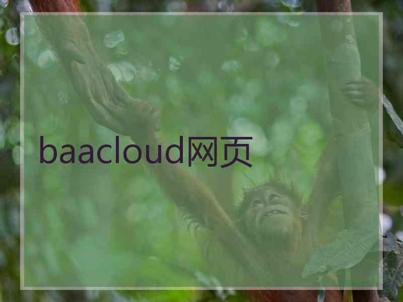 baacloud网页
