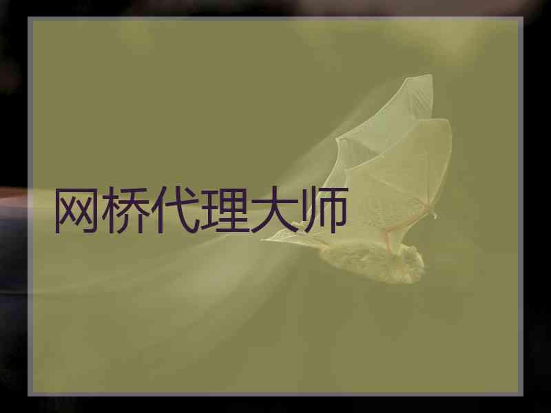 网桥代理大师