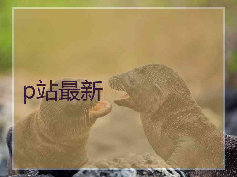 p站最新