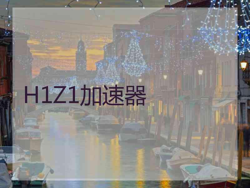 H1Z1加速器