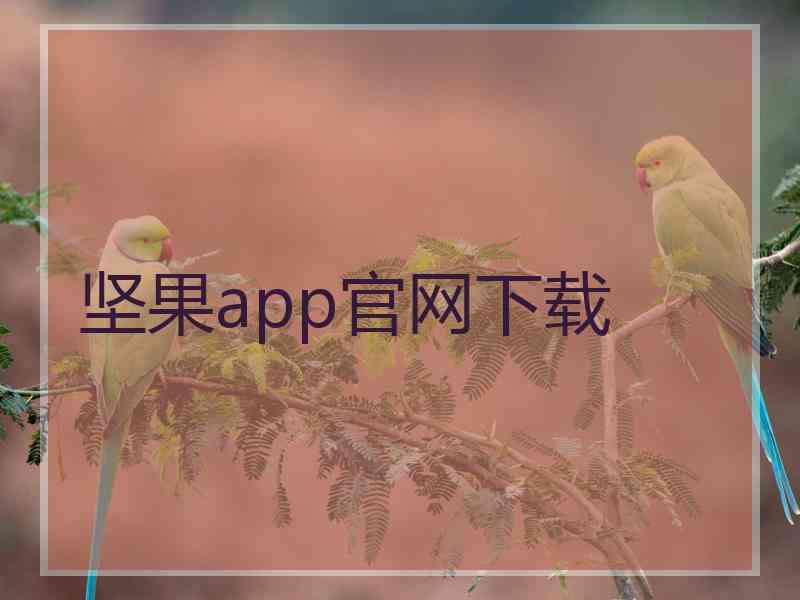 坚果app官网下载