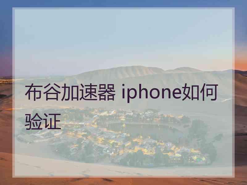 布谷加速器 iphone如何验证