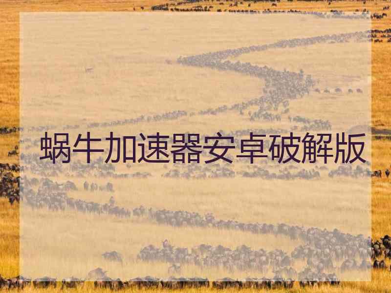 蜗牛加速器安卓破解版