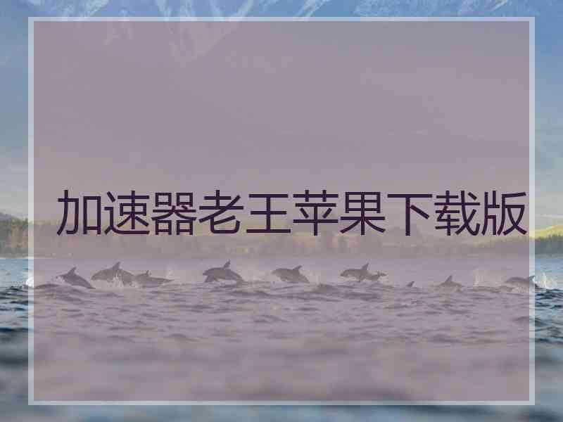 加速器老王苹果下载版