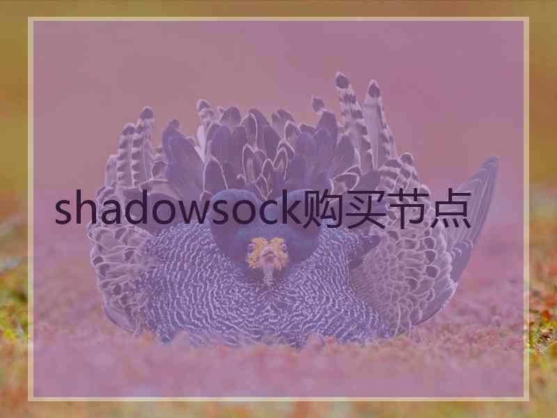 shadowsock购买节点