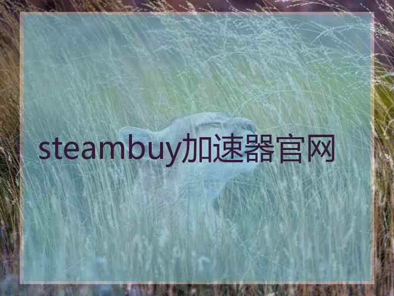 steambuy加速器官网