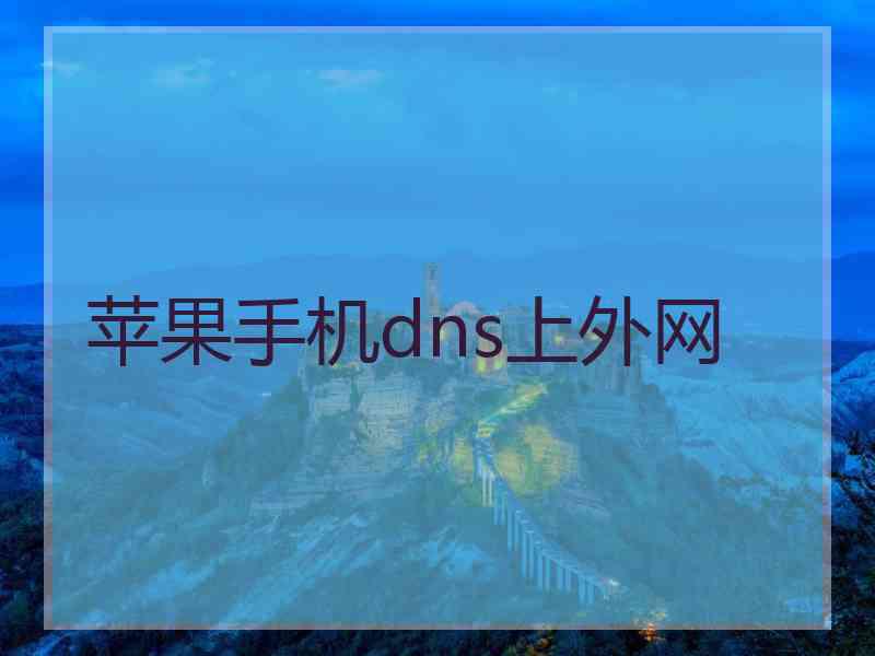 苹果手机dns上外网