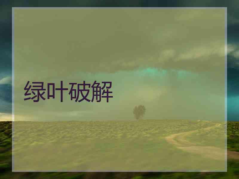 绿叶破解