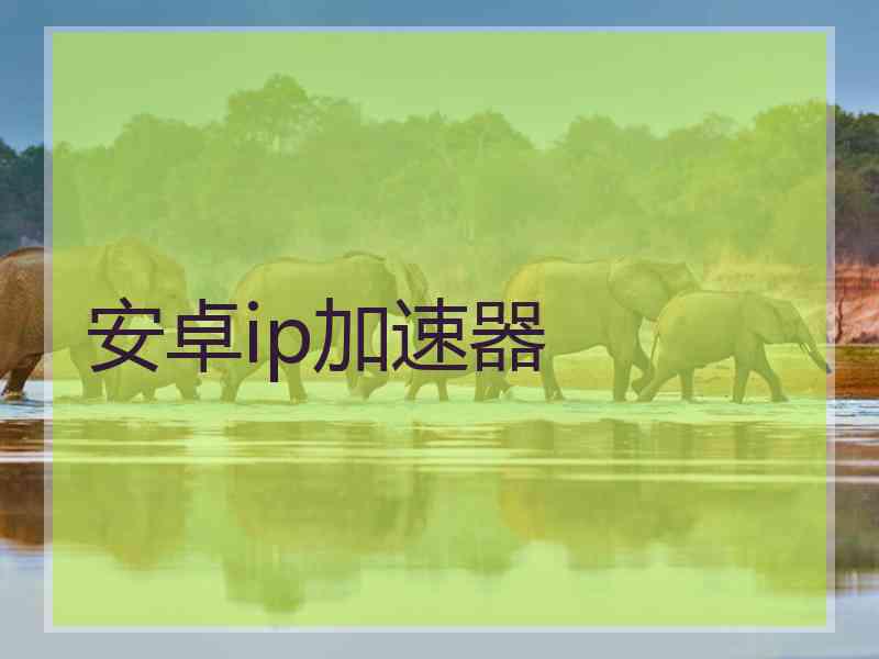 安卓ip加速器