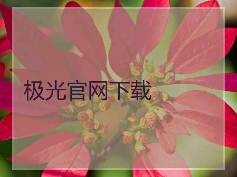 极光官网下载