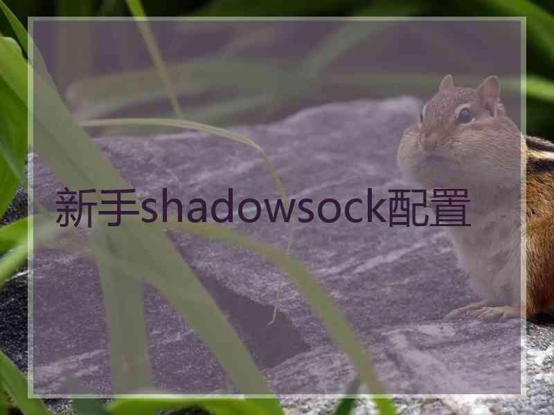 新手shadowsock配置
