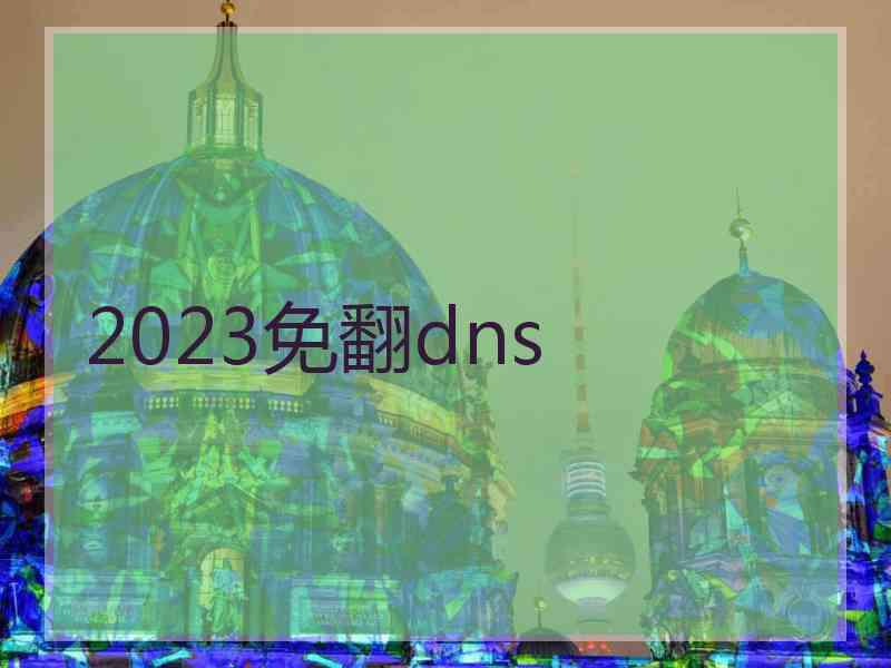 2023免翻dns