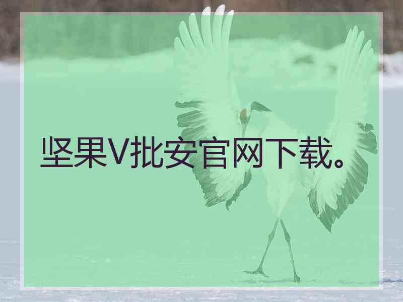坚果V批安官网下载。